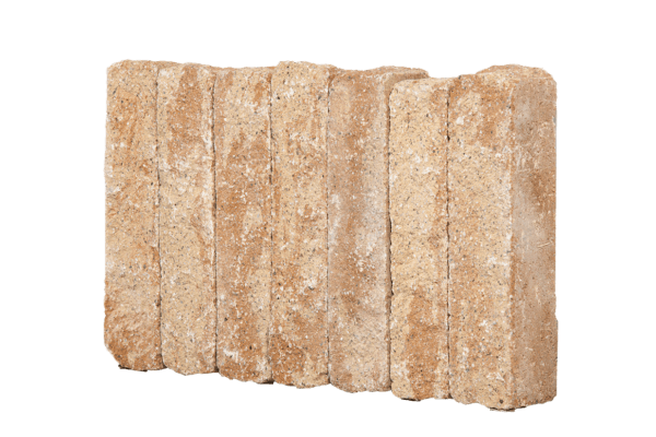 Splitton Palisaden Mont Blanc