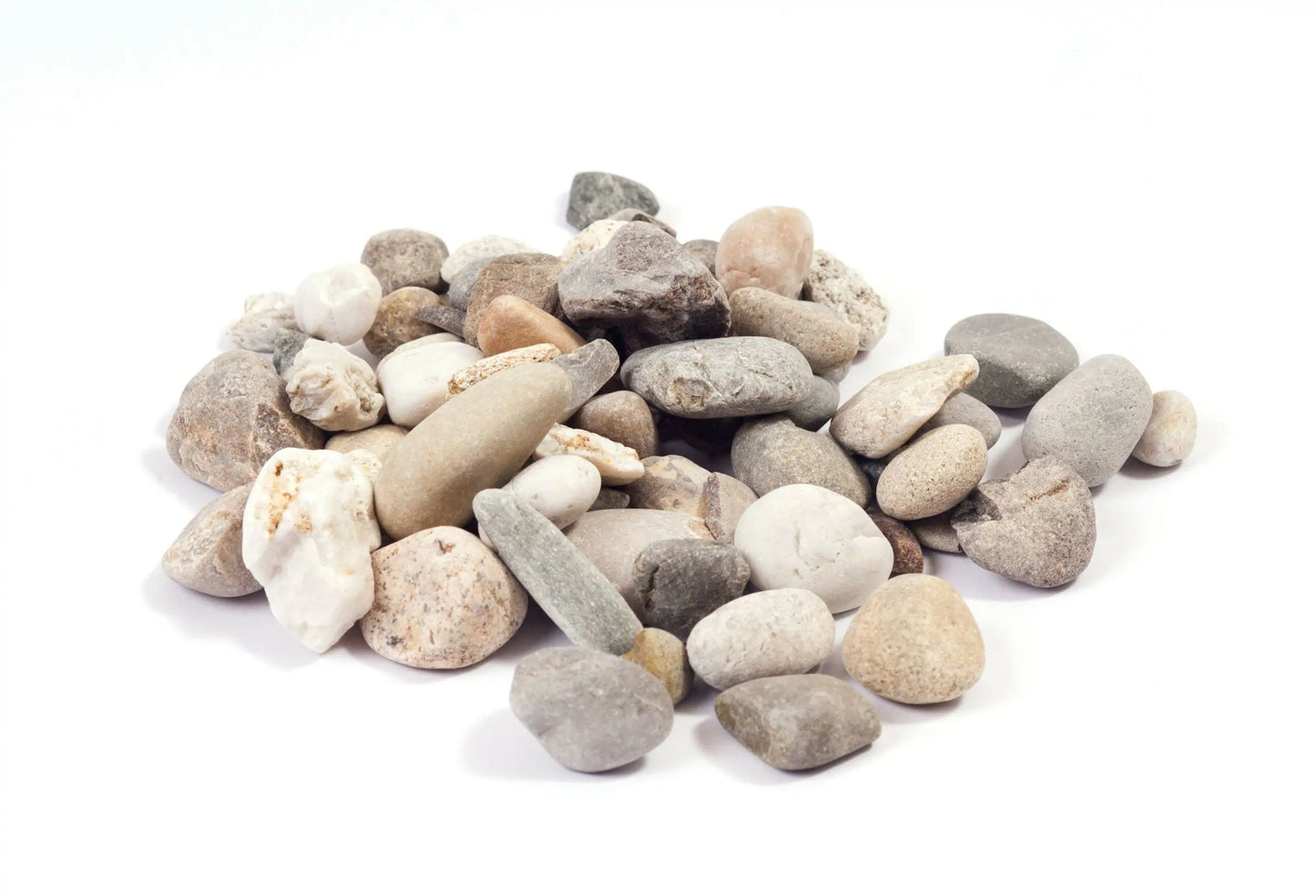 Buntkies